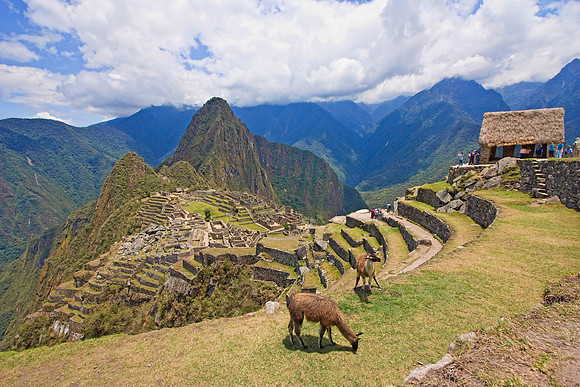 Machu Picchu Vista